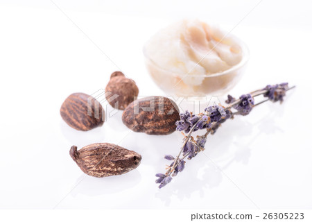 shea nuts and butter on white background shea nuts and butter on white background 26305223