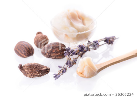 shea nuts and butter on white background shea nuts and butter on white background 26305224