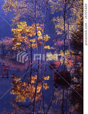 栃木縣日光市千住海灘的奇妙景觀 26305889