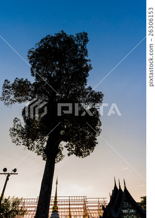 silhouette shot image of tree and sunset sky silhouette shot image of tree and sunset sky 26306153