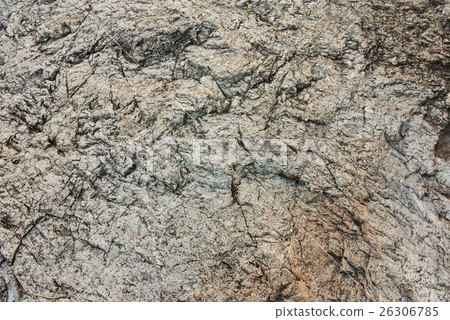 granite rock texture with dry leaf 26306785