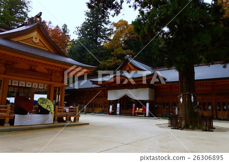 穗高神社和神木 穗高神社和神木 26306895