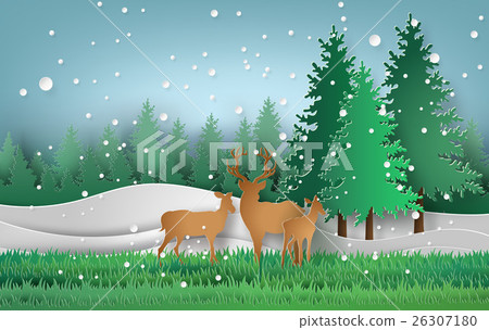 Deer in the forest 26307180