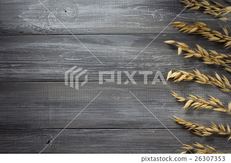 ears of oat on wood 26307353