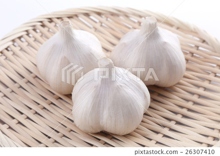 garlic garlic 26307410