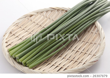 图库照片: 蒜芽 筛子 蔬菜