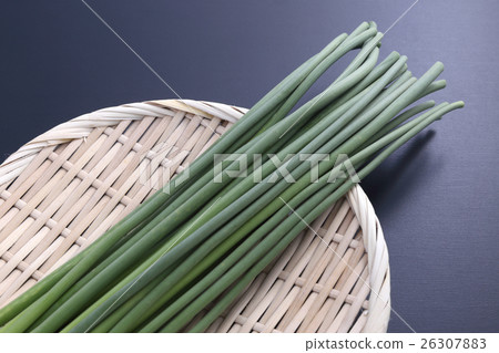 大蒜芽 26307883
