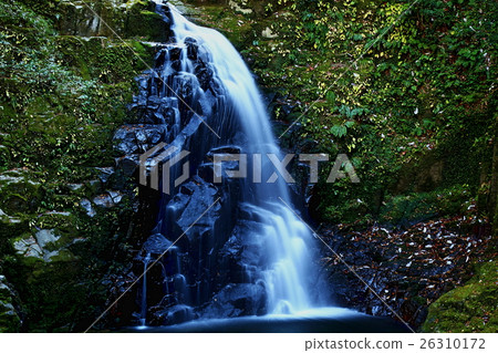 Red-eye Shiratakiraki Fudo Falls Red-eye Shiratakiraki Fudo Falls 26310172