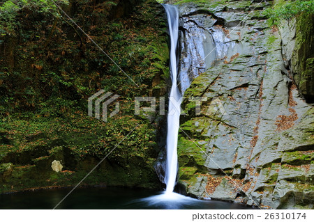 Red Eye Shimpaki Waterfall Cloth Falls Red Eye Shimpaki Waterfall Cloth Falls 26310174