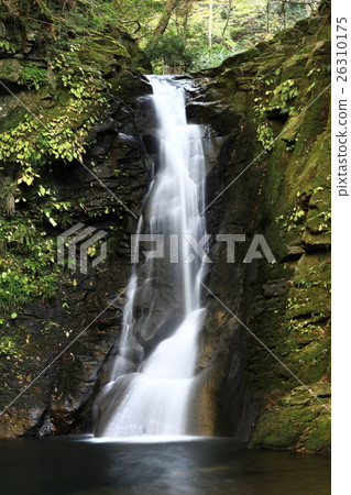 Red-eye Shimattaki Falls Biwa Falls Red-eye Shimattaki Falls Biwa Falls 26310175