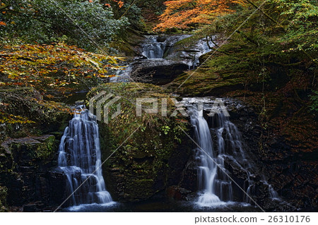 Red-eye Shotshigaru Falls Burdock Waterfall Red-eye Shotshigaru Falls Burdock Waterfall 26310176