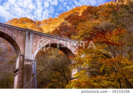 Megane橋樑 - 秋葉 26310286