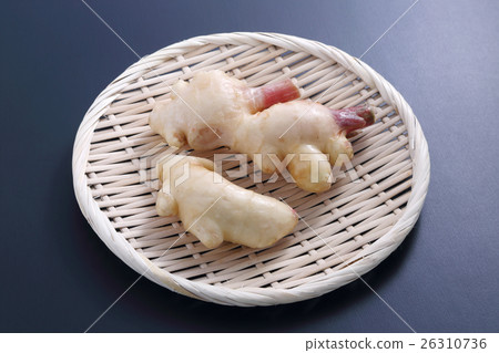 ginger ginger 26310736