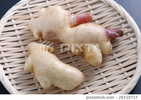 ginger ginger 26310737