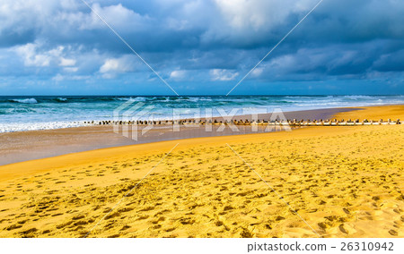 Beach on the Atlantic Ocean near Seignosse - 26310942