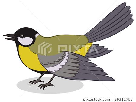 Bird Titmouse, Isolated Bird Titmouse, Isolated 26311793
