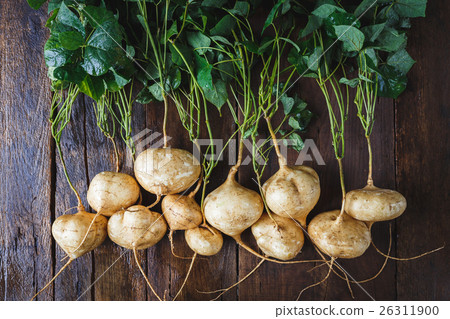Yam Beans Yam Beans 26311900