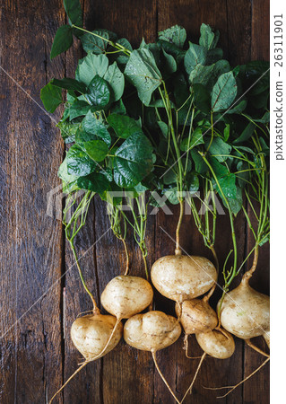 Yam Beans Yam Beans 26311901