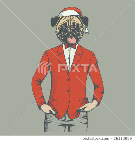 Stock Illustration: Pug dog vector illustration