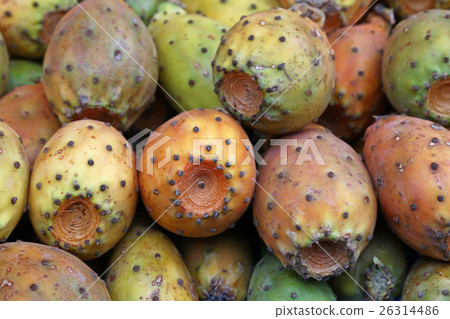 Opuntia cactus fruits sale on retail market stall Opuntia cactus fruits sale on retail market stall 26314486