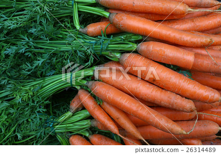 Bunches of fresh spring carrots with green top Bunches of fresh spring carrots with green top 26314489