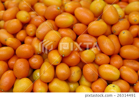 Fresh orange cumquat citrus fruits Fresh orange cumquat citrus fruits 26314491
