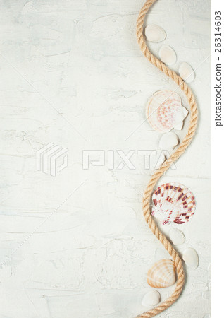 Rope and shells on the textured light background Rope and shells on the textured light background 26314603