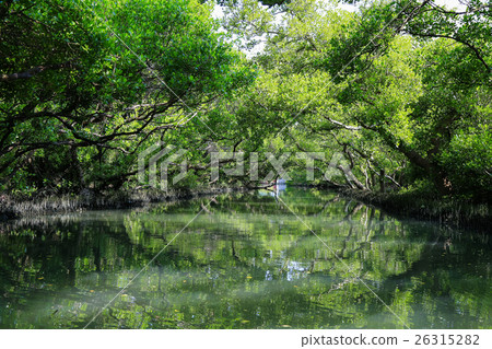 天使之吻 26315282