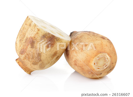 Lotus root on white background 26316607