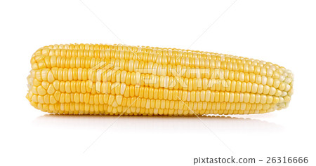 fresh corn on white background 26316666