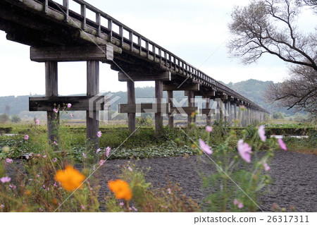 [Guinness certification, the world's best wooden footbridge] Horai Bridge 26317311