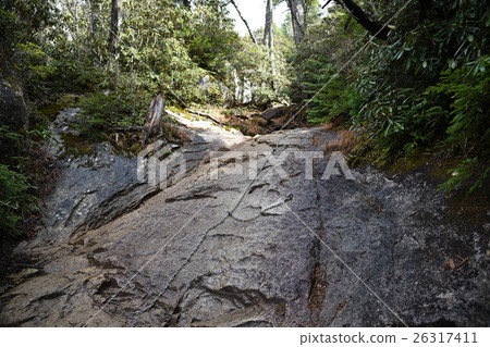 山路道路位置 山路道路位置 26317411