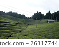 茶園 26317744