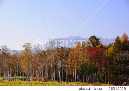 Autumn's Kaeda Kogen 2 Autumn's Kaeda Kogen 2 26319029