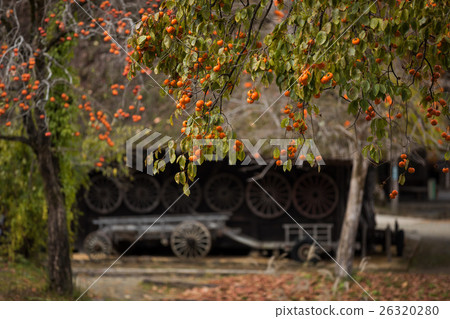 Hida Takayama Hida Nori 26320280