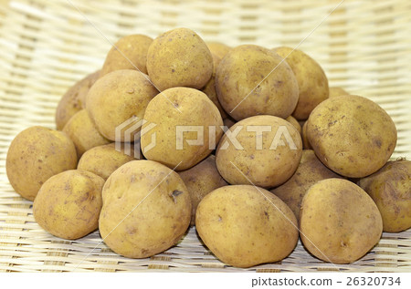 Red clay potato Red clay potato 26320734