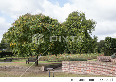 英國公園 英國公園 26320941