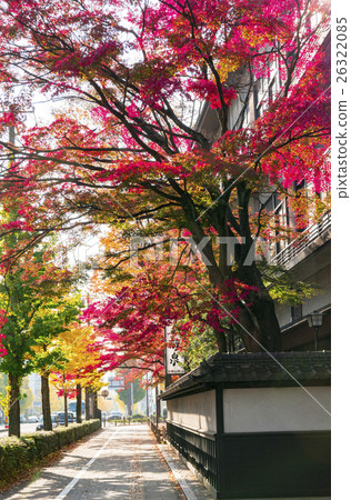 Our town series, autumn's Atagoji Sugiyama street 26322085