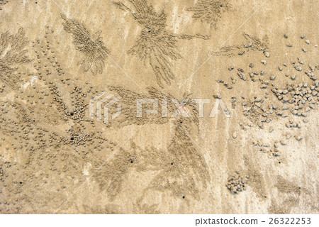 Footprints, crab tracks on sand 26322253