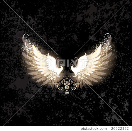 light wings light wings 26322332