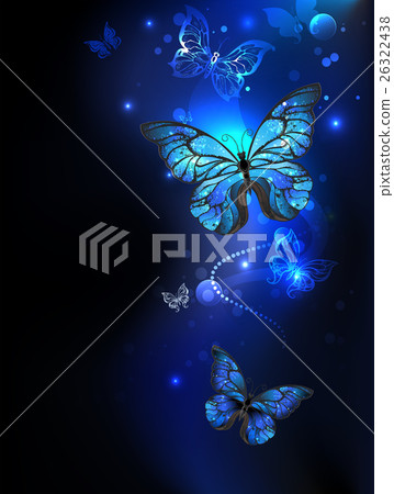 morpho butterfly in the dark morpho butterfly in the dark 26322438