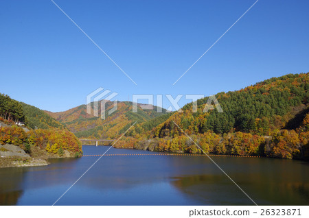 Autumn leaves of Lake Maple 26323871