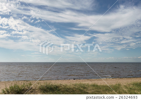 Baltic Sea Fin Gulf Coast In Summer Sunny Day 照片素材 圖片 圖庫