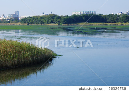 Yatsu潮灘（千葉縣習誌野市） 26324786