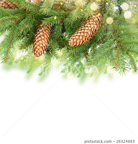 Pine Branch With Cones Pine Branch With Cones 26324893