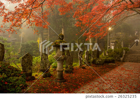 Leonard's Sawamoniji 26325235