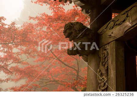 Leonard's Sawamoniji 26325236