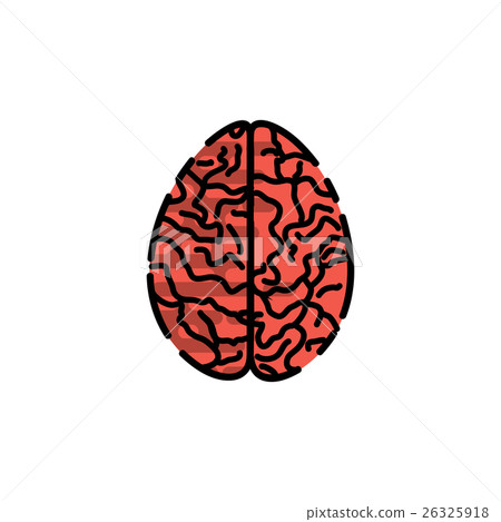 Human organ flat icon 26325918