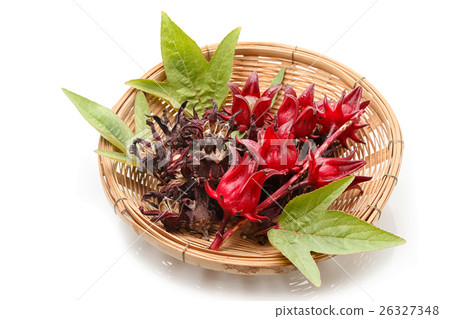 Fresh and dried roselle in the basket 26327348