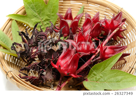Fresh and dried roselle in the basket 26327349